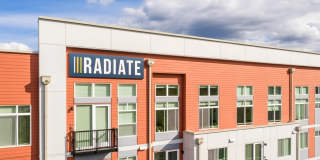 Radiate Gallery 38