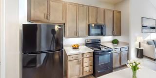 Ravines at Taylor Gallery 1