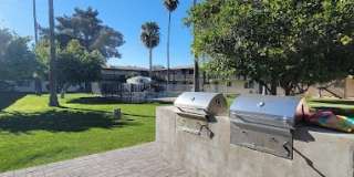 Wintercove Apartments Gallery 11