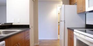 Yugo Seattle Lothlorien Gallery 36