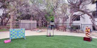 Vineyard Springs Gallery 10