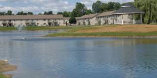 Pebble Creek Gallery 40