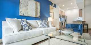 Living at Santa Monica Gallery 11