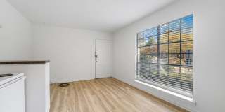 Cliff Place Gallery 4