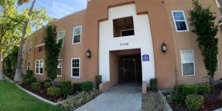 Villa Rivera Gallery 8