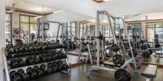 Promesa Promesa Gallery 31