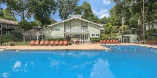 Celebration at Sandy Springs Gallery 5