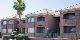 Palm Terrace Gallery 6