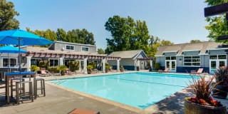 The Woodlands The Woodlands Gallery 16