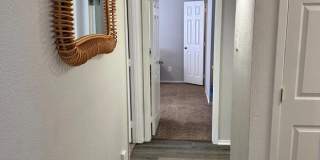 The Element Apartments Gallery 16