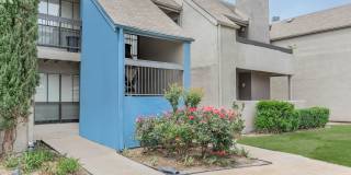 Woodchase Gallery 25