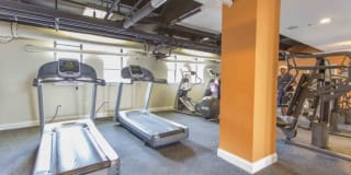 Adelphia House Gallery 8