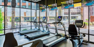 Agave 350 Gallery 32