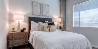 Agave 350 Gallery 11