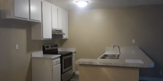 Newport Plaza Gallery 12