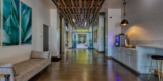 Agave 350 Gallery 37