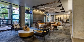 Agave 350 Gallery 19