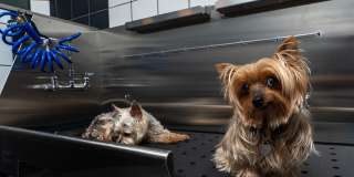 Bell Alderwood Gallery 22