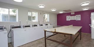 Boston Creek Gallery 12