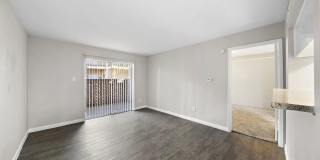 Flint at 290 Gallery 5