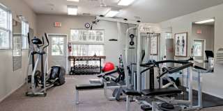 Somerset Mews Gallery 5