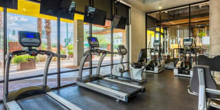 Agave 350 Gallery 35