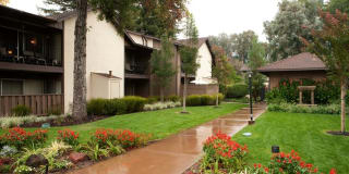 Park Place Gallery 16