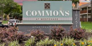 Commons at Westchase Gallery 11