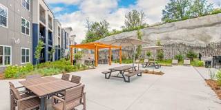 The Percy Gallery 41