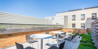 Tenley View Gallery 17
