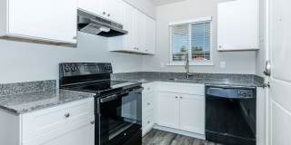 The Carlson Gallery 1