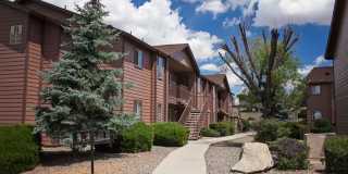 Pines at Prescott Gallery 3