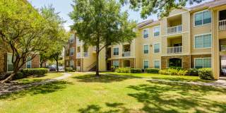 Stone Mist Gallery 26