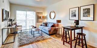 Ruth Court Gallery 21