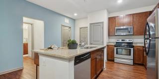 Willows at Fort Mill Gallery 40