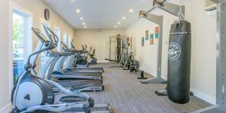 Signature Place Apartments Homes Gallery 34