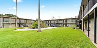 Palms of Alvin Gallery 1