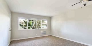 Camden Village Gallery 4