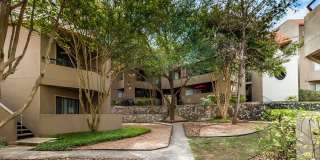 4000 Horizon Hill Gallery 33