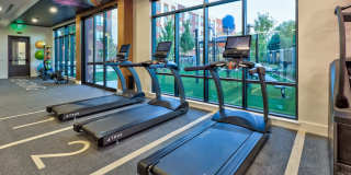 The Bernice Gallery 20