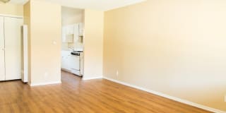 Ventura Terrace Gallery 10