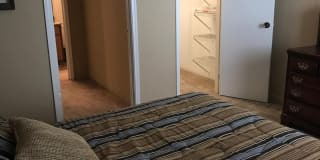 Colonies Landing Apartments Gallery 11
