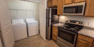 Davis Gardens Gallery 2