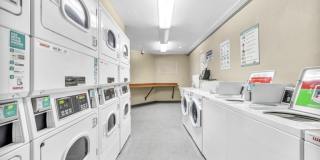 Riverwood Gallery 11