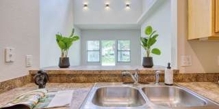 Silver Springs Gallery 3