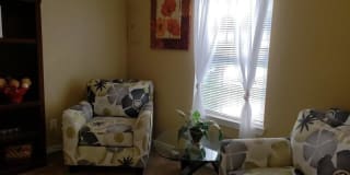 Autumn Trace Gallery 2
