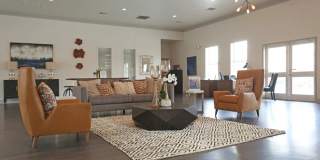 Woodforest Chase Gallery 3