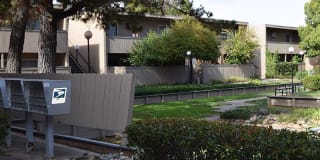 Amber Grove Gallery 5