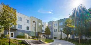Ainger Place - Affordable housing Gallery 8