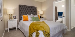 Dorado Heights Gallery 13